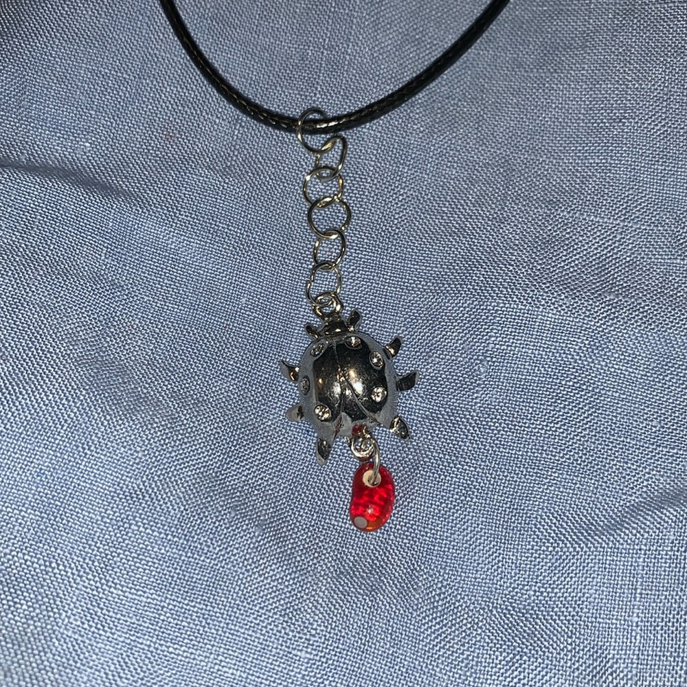 New ladybug necklace